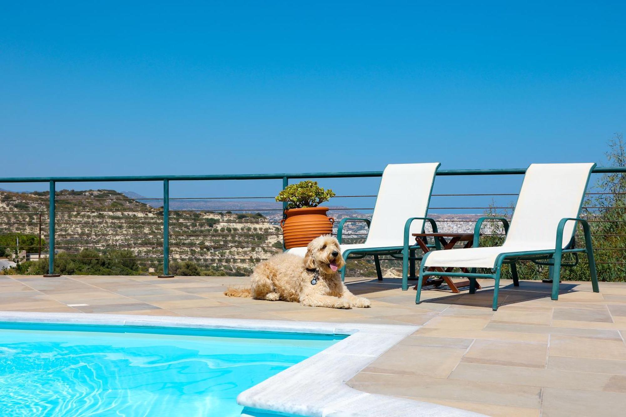 Roussa Village Sitia  Esterno foto